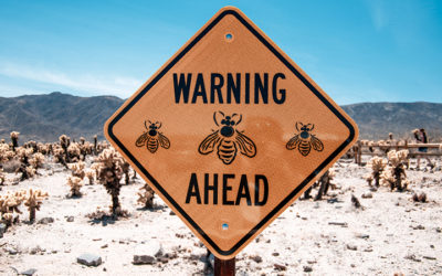 Pourquoi votre business est en DANGER