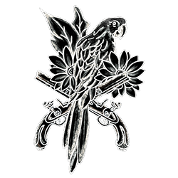 Framework Starterland - Marketing (perroquet)